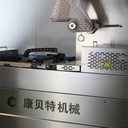 Thermoforming Vacuum Packaging Machine for Gouda Cheese Wedge