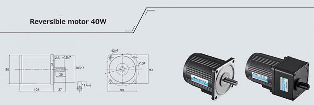 Reversible Motor 40w