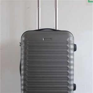 20 Inch Abs Luggage