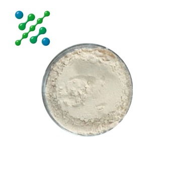 Organic Boswellia Extract Powder for Supplements