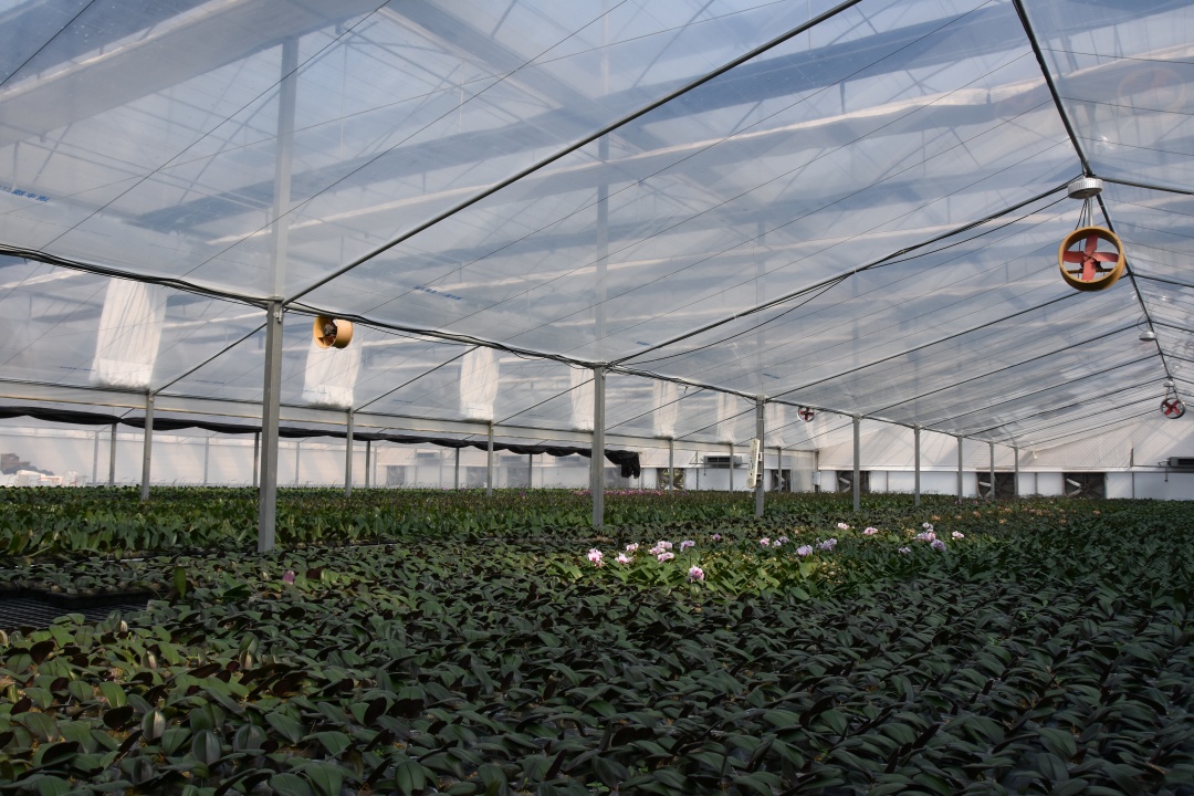 1 greenhouse film 7 layer
