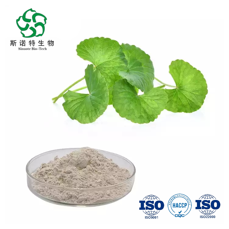 Centella Asiatica Extract 90 ٪ Asiaticoside Gotu Kola Extract