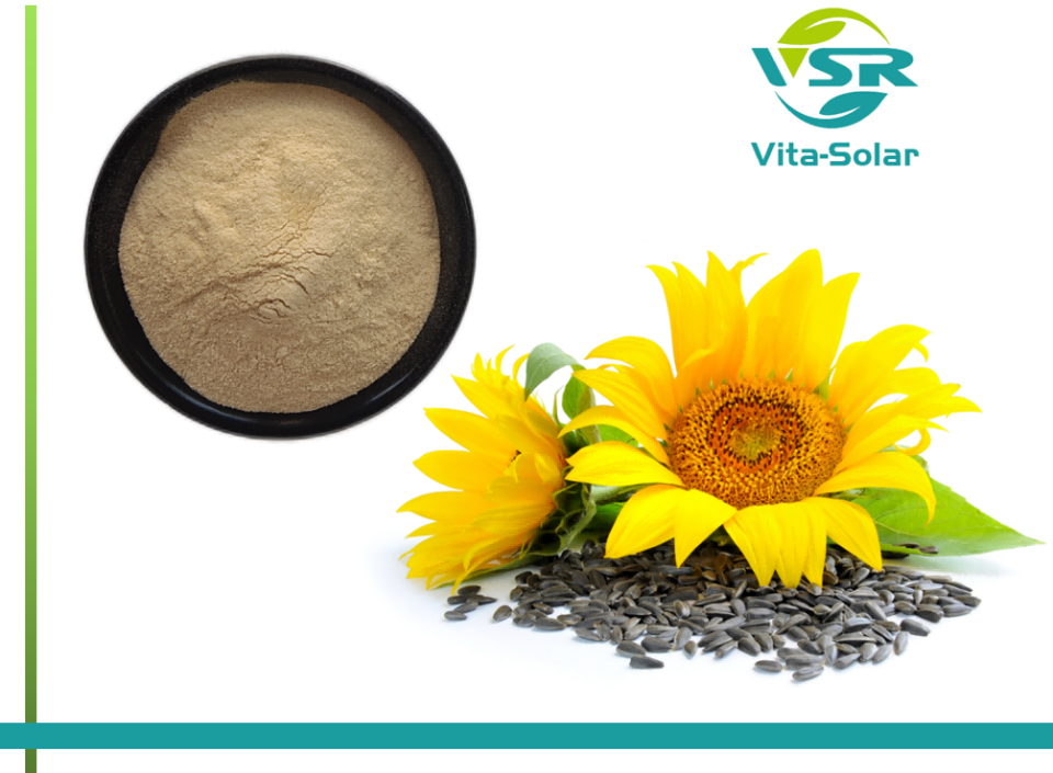 Sunflower Lecithin