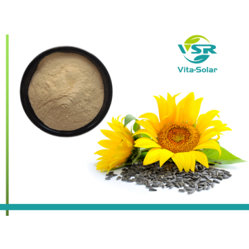 High quality sunflower lecithin