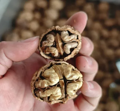 Raw Natural Walnut Kernels
