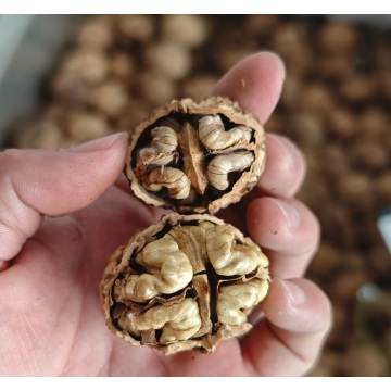 Yunnan Sağlıklı Ceviz Çekirdekleri