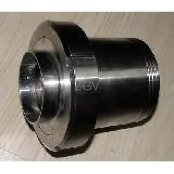 Weld on Check Valve