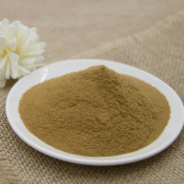 工場価格Astragalus Extract Powder Astragalus Extract