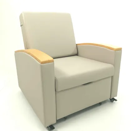 Healthcare Hospital Furniture: Patient Room Companion Sofa Bed