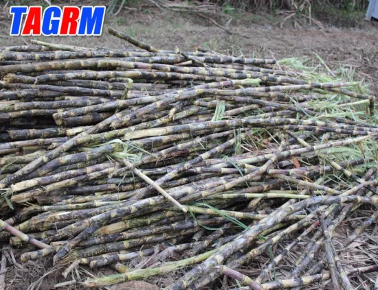 high quality sugarcane extractor equipment in India