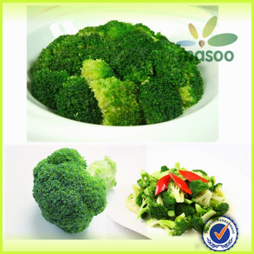 export broccoli sprouts/fresh broccoli/broccoli of high quality