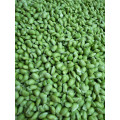 Free shipping 50kg/h Automatic peas sheller Green beans shelling machine/Broad bean shelling machine