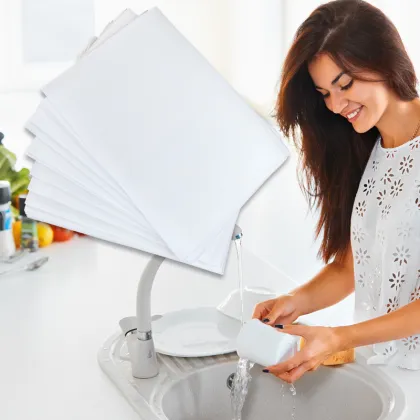 GreenClean: Eco-Friendly Dishwashing Sheets for a Sustainable Home