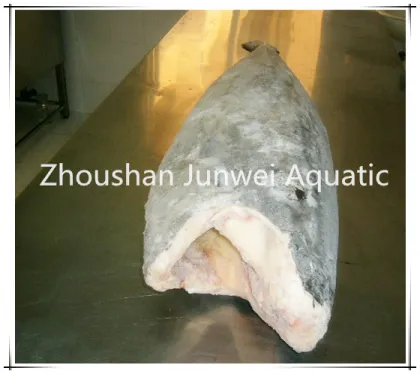 Fresh Frozen Oil Fish High Quality
