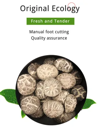 Log Tea Flower Mushroom