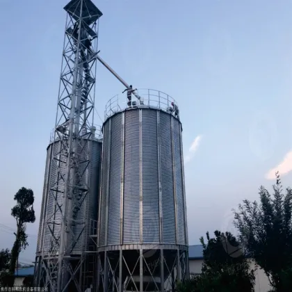 High Capacity Feed Silo for Animal Nutrition