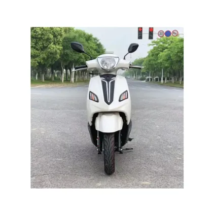 Gasoline Scooter: Other Gas-Powered Moto Bikes and Minimoto