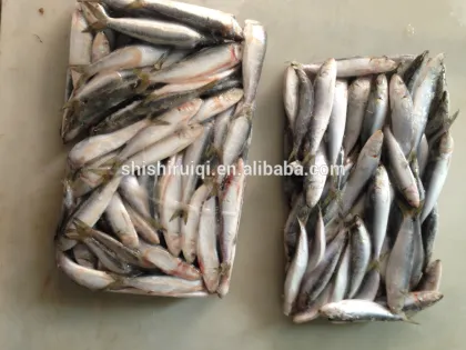 Ocean Seafoods Light Caught Frozen Sardine