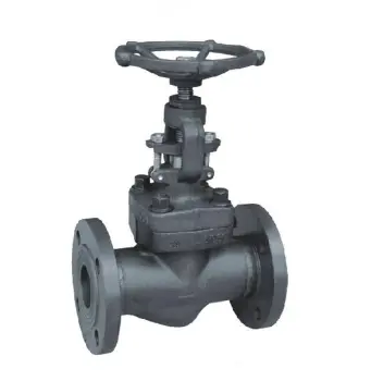 Forged Steel Globe Valve