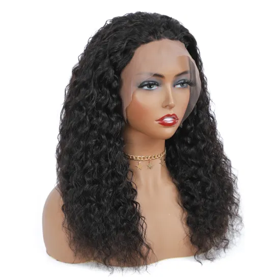 Wholesale Competitive Price Human Wigs 100% Human Hair, HD Pre Plucked Human Lace Front Wig