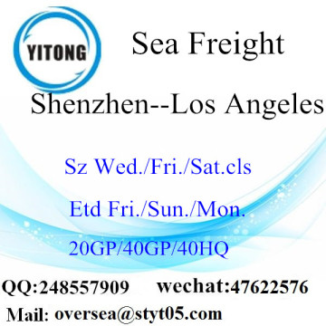 Shenzhen Port Sea Freight Shipping To Los Angeles USA