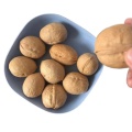 Wholesale Cheap Walnuts Paper Shell Walnuts Washed Walnuts