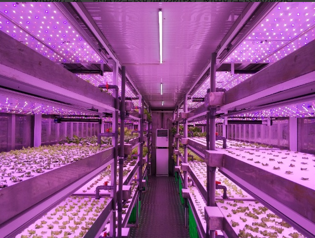 نوع الشتلة (40 خزانة) YD40JBY-B02-AK