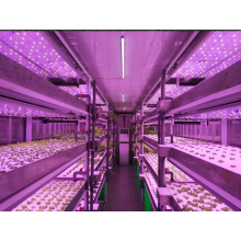 Type de semis (40 armoires) YD40JBY-B02-AK