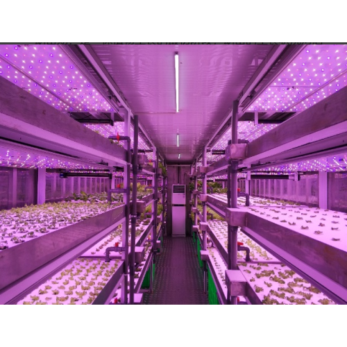 Тип рассады(40 шкафов) YD40JBY-B02-AK