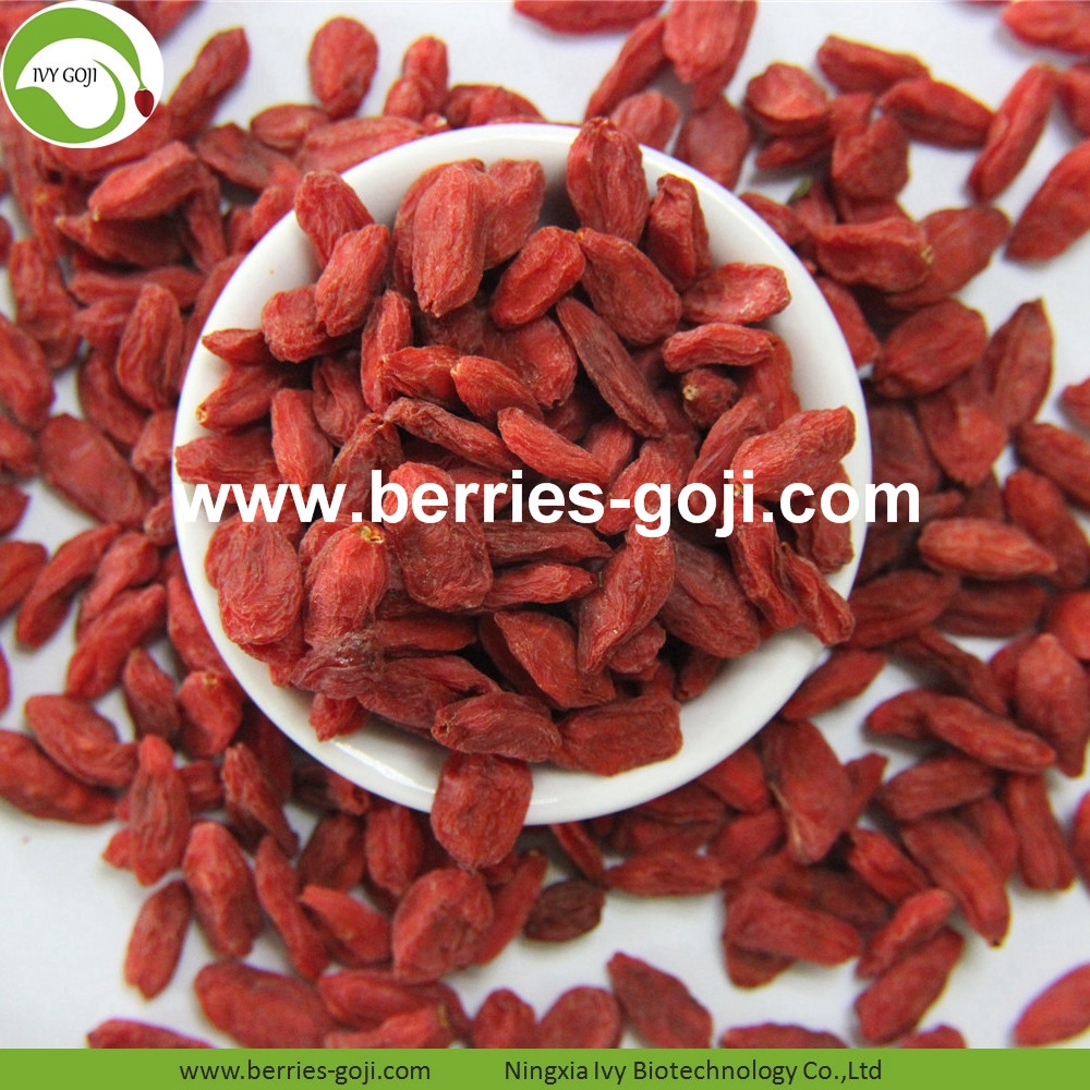 Wholesale Nutrition Dried Raw Organic Lycium