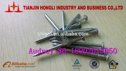 4" H.D.G Square boat nails from Tianjin Hongli