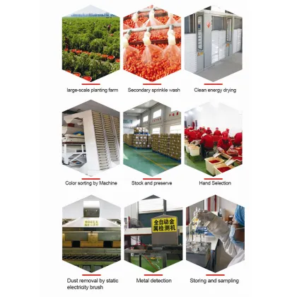 Wholesale Organic Dried Black Wolfberry