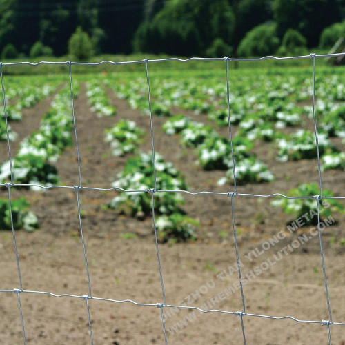 150/13/15 Heavy Duty Galvanized Cattle Fence