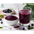 Proveedor a granel de polvo de baya de Acai natural