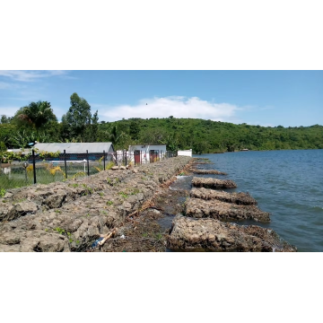 Gabion Bankはメンテナンスを排除できます。