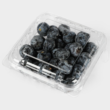PET Food Container Display Trays for Food Packaging