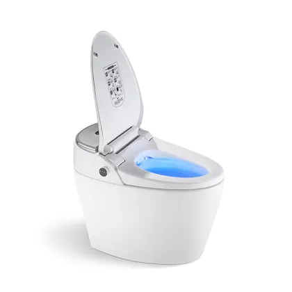 ARROW Brand Modern Smart Toilet with Electric Automatic WC