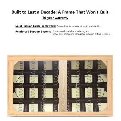 Timeless Design Comfortable Leather Couch