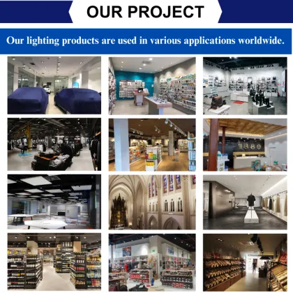 RONSE J Light R501 Juno Simp Hangng Erco LED Track Lighting System