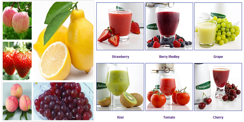 Fruit Juice Extractor