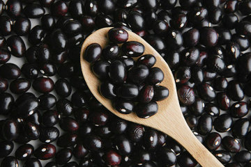 Freshnew Black kidney Bean  2018