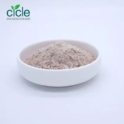 Bacillus thuringiensis subsp. israelensis BTI WP