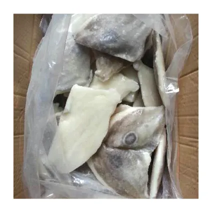 2021 New arrival frozen john dory fish fillets, china seafood frozen fresh john dory fish