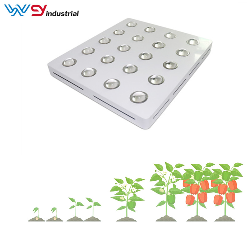 Grow led mini garden 4000w grow light