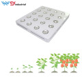 640W Fluence Spydr Indoor Samsung led grow light