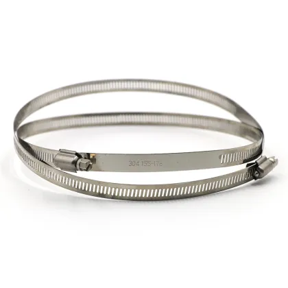 Hose clamp American stainless steel 304 hose clamp