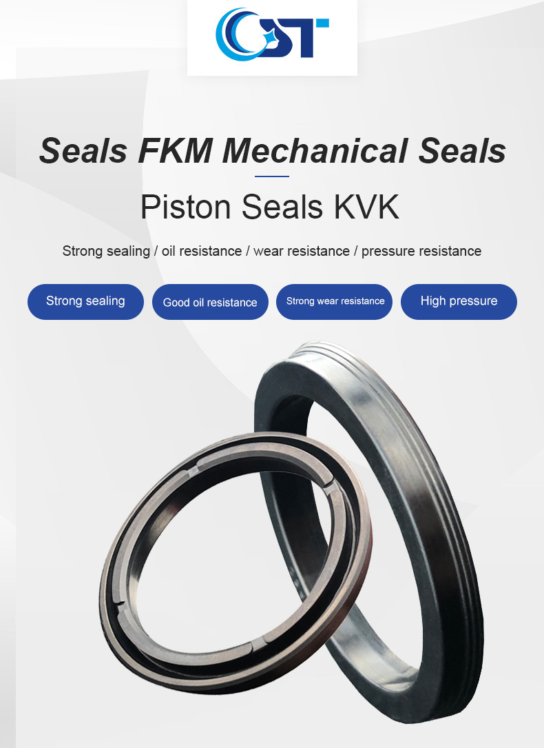 Z5 Piston Seal Fkm