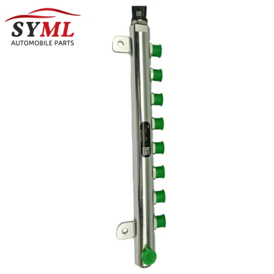 Hot Selling New Fuel Accessories: Common Rail Tube for Truck Engine Assembly (0445226062)