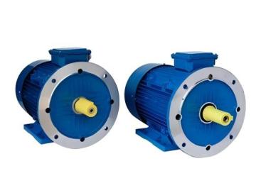 XTPMP160M30-11 Permanent magnet motor