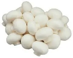 Fresh Delicate Champignon Mushroom